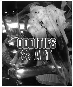 Obscura Antiques & Oddities